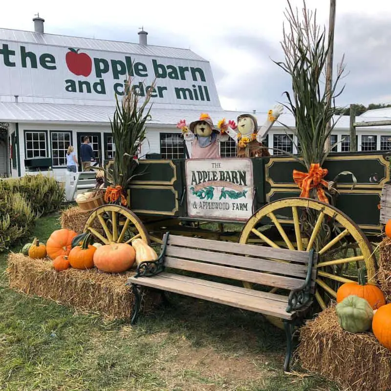 Things to Do at Apple Barn in Pigeon (2023 Update)