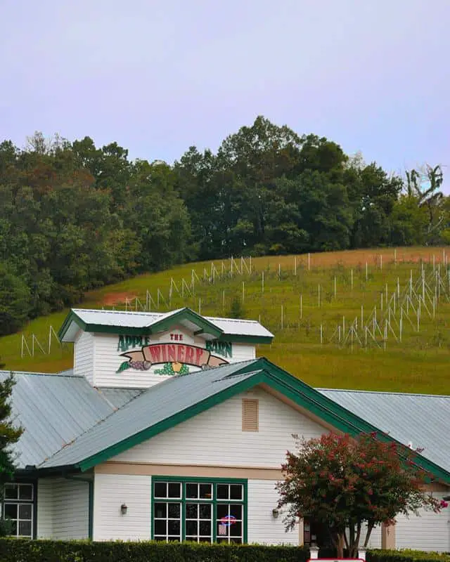 Rocky Top Wine Trail