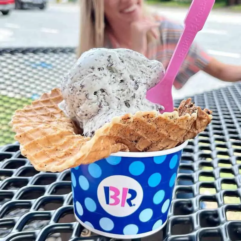 Baskin Robbins Ice Cream