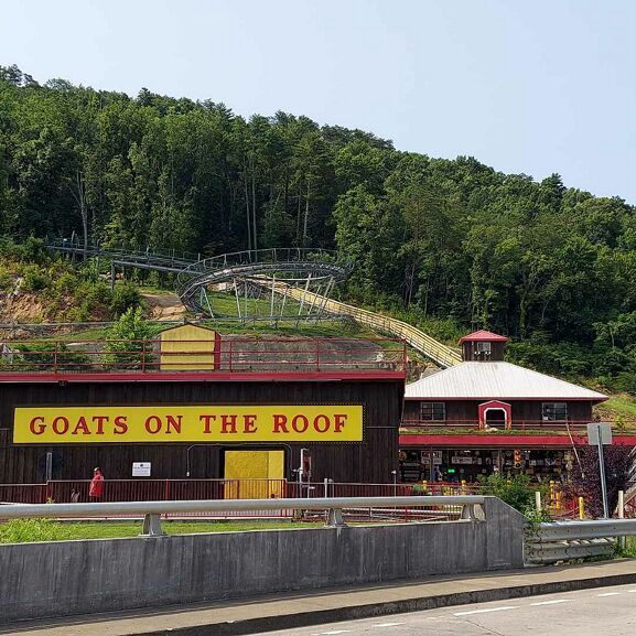 Goats on the Roof Pigeon Forge