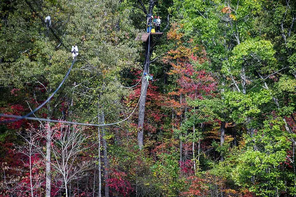Smoky Mountain Ziplines and Canopy Tours 1