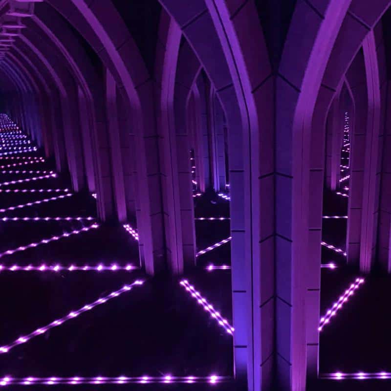 Amazing Mirror Maze