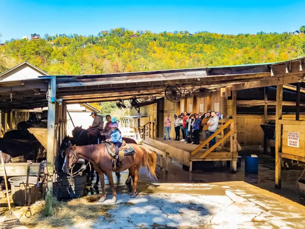 Big Rock Dude Ranch at Ponderosa LLC