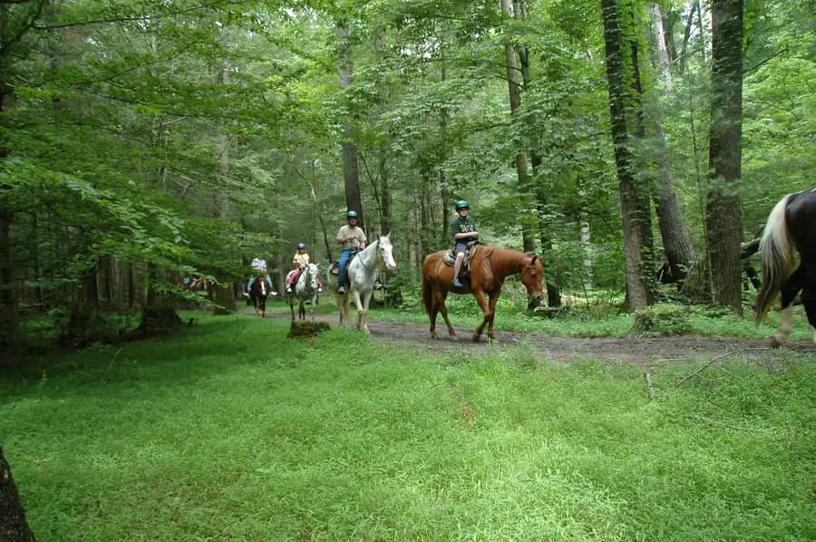 Cades Cove Riding Stables