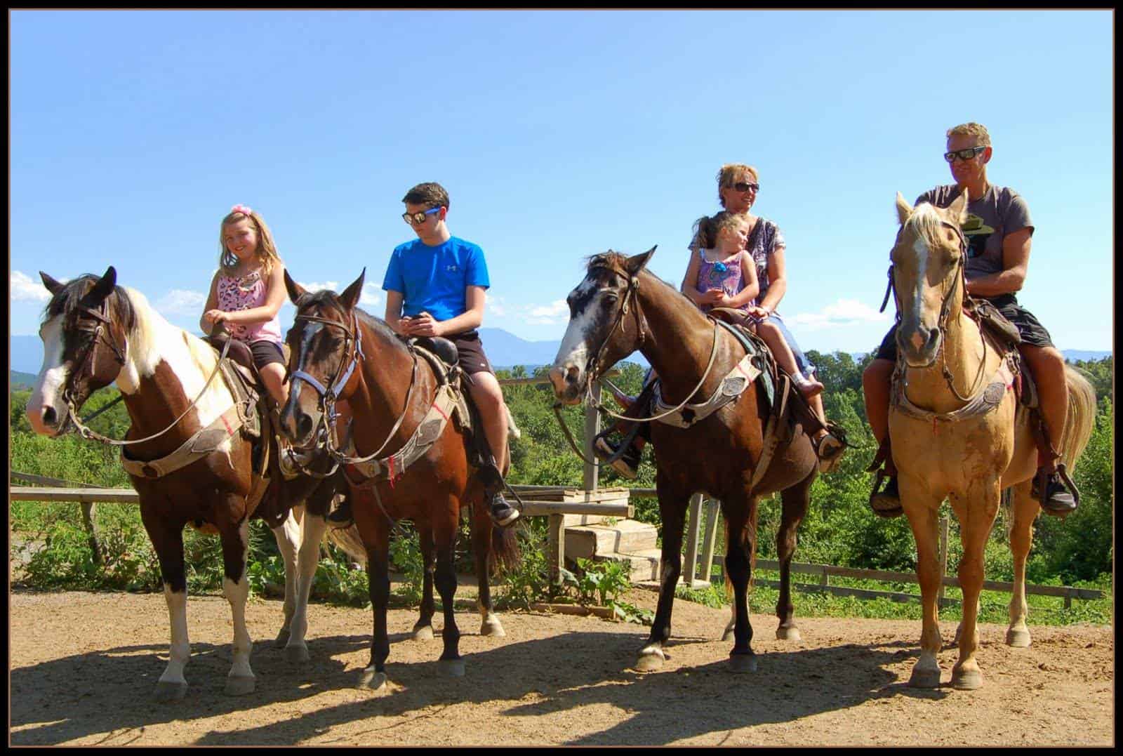 Deer Farm Riding Stables