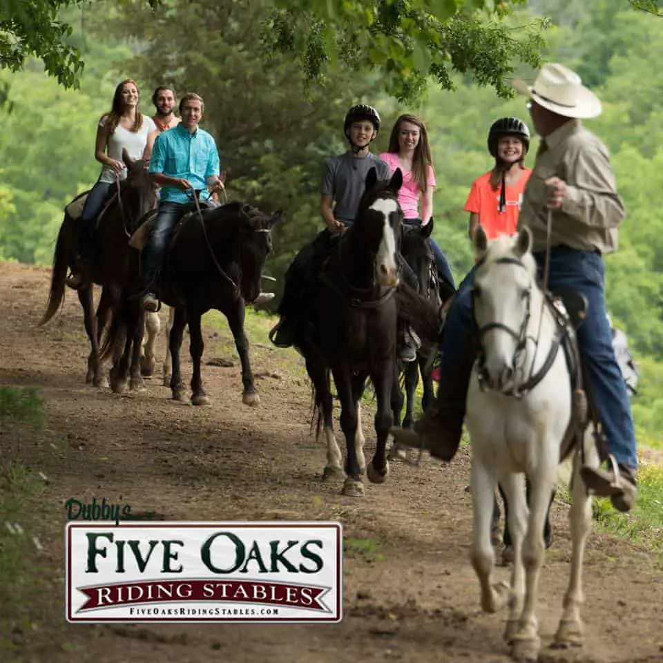 Five Oaks Riding Stables