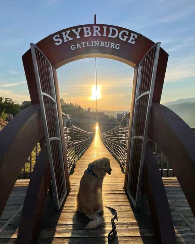 Gatlinburg SkyBridge