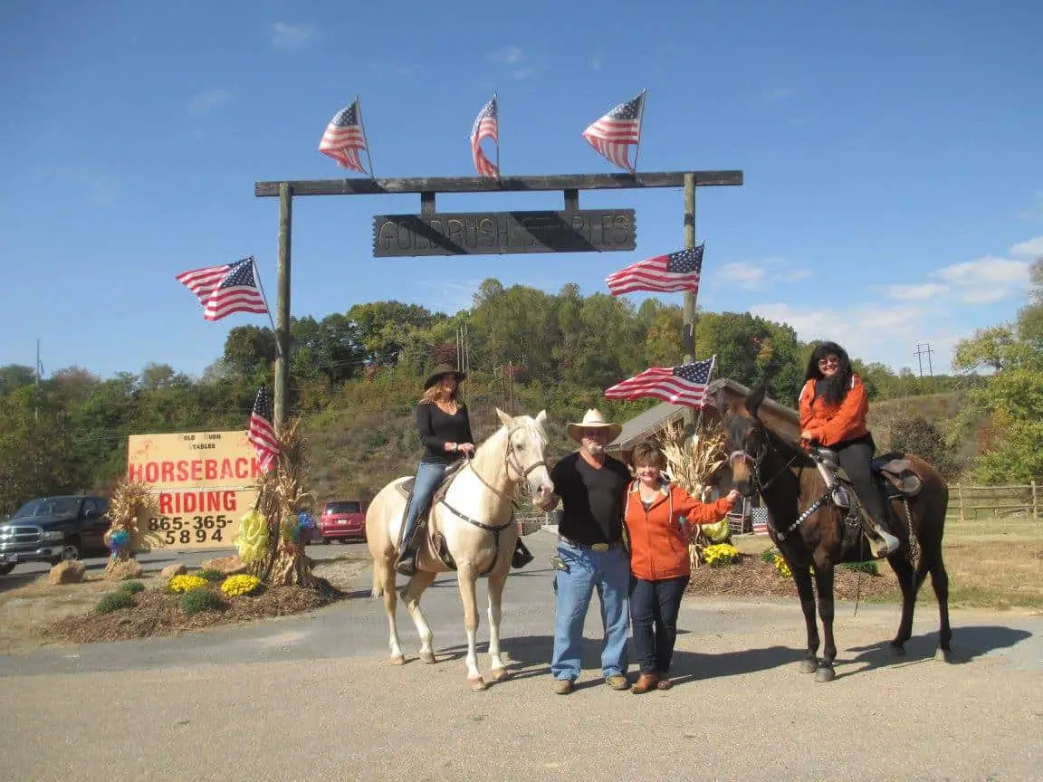 Goldrush Stables