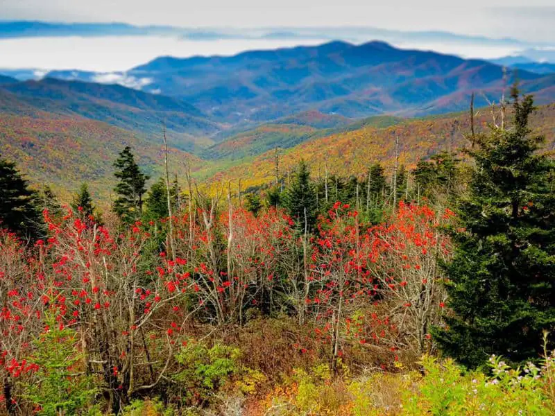 Great Smoky Mountains National Park