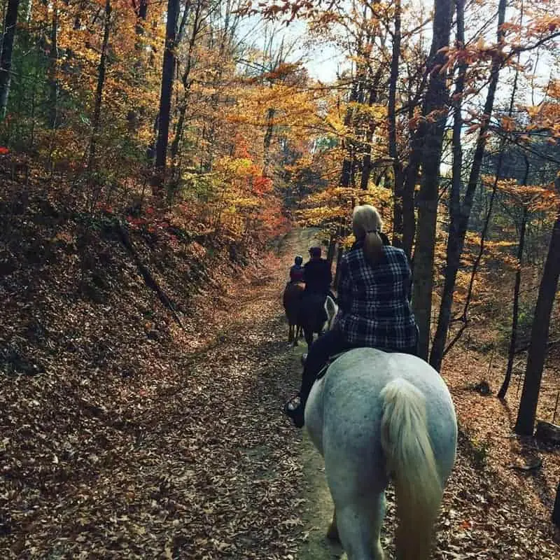 Horseback Riding in Smoky Mountains