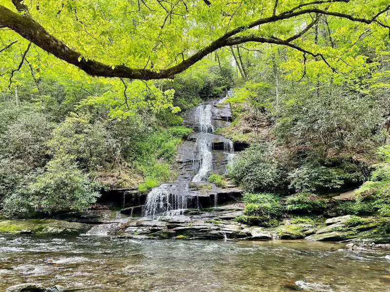 Roaring Fork Motor Nature Trail