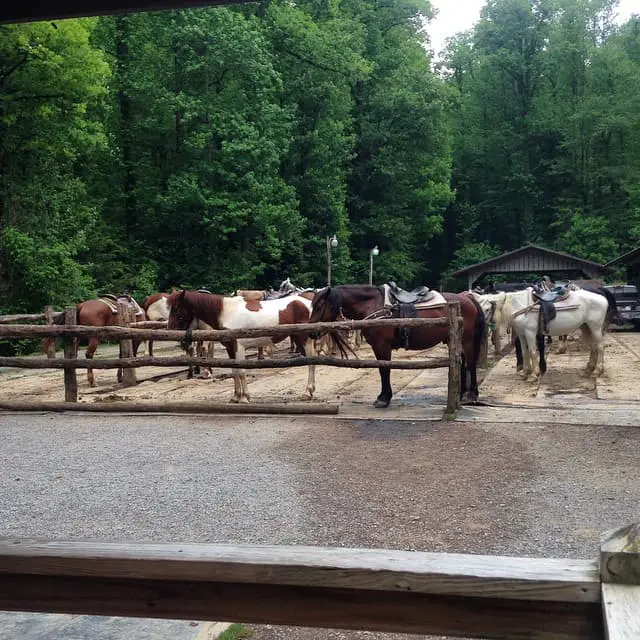 Sugarlands Riding Stables
