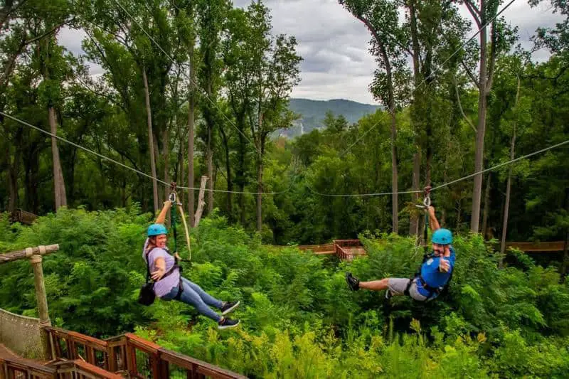 Dueling Zipline Adventure