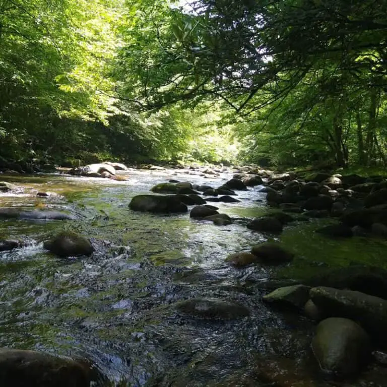 The 8 Best Smoky Mountain Hikes By Difficulty - Smoky Mountain Opry