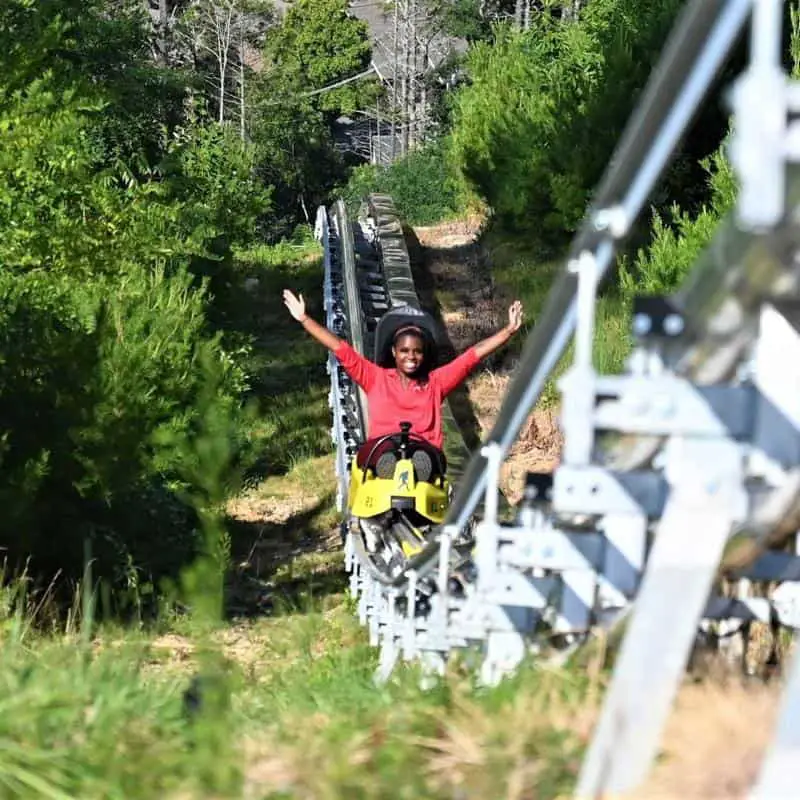 Rail Runner Mountain Coaster