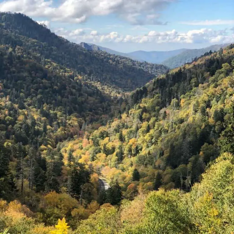 Smoky Mountains Webcam