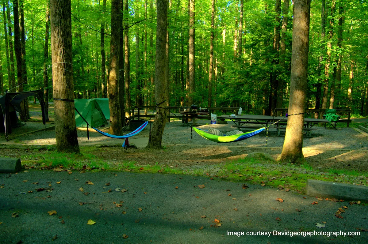 Cosby Group Campground