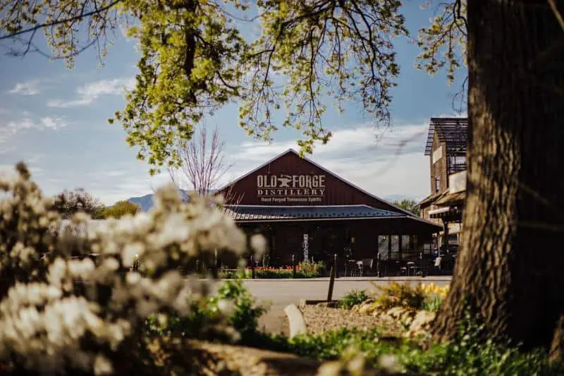 Old Forge Distillery