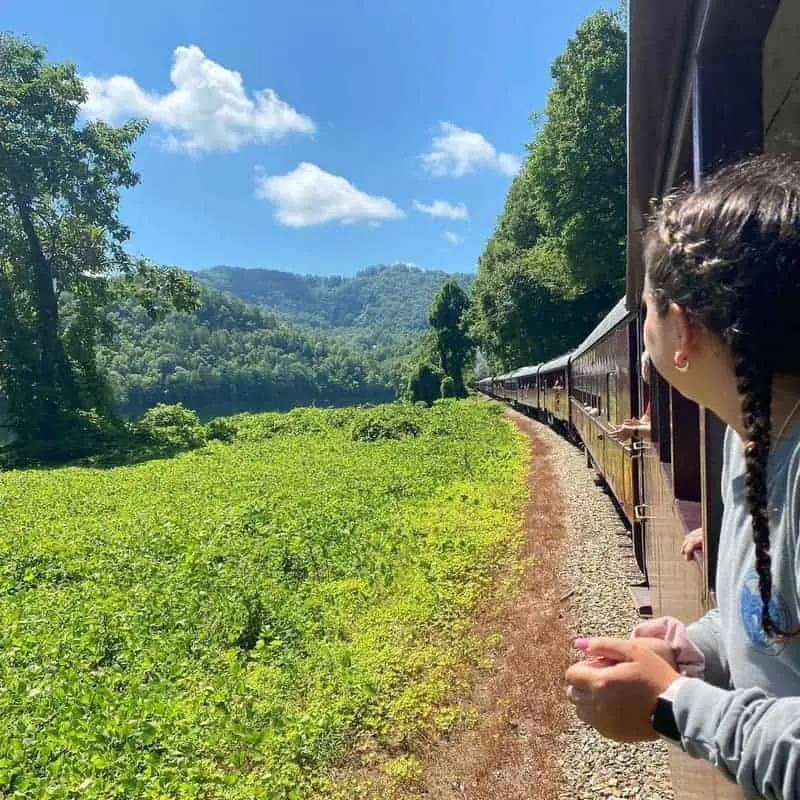 Train Rides in the Great Smoky Mountains