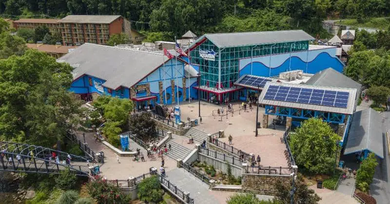 Ripley’s Aquarium of the Smokies 1