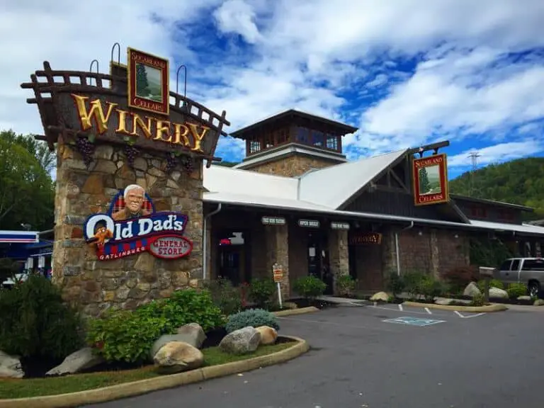 12 Best Things to Do on Gatlinburg Strip